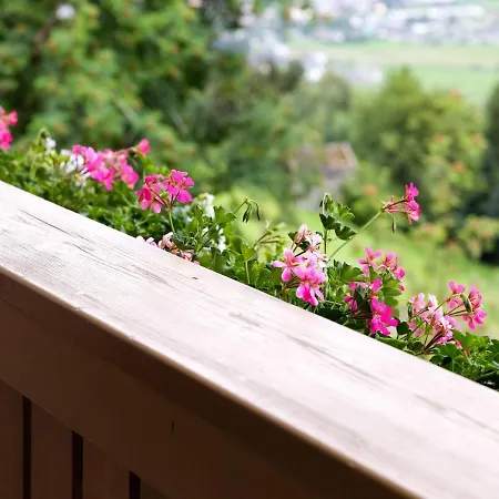 In Near Kitzbuehel Area 公寓 米特西尔