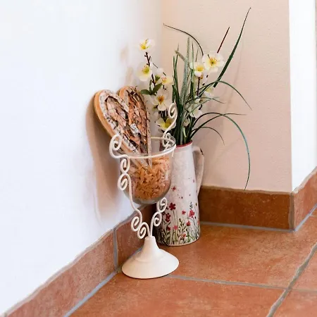 In Near Kitzbuehel Area * Mittersill