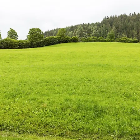 公寓 In Near Kitzbuehel Area 米特西尔