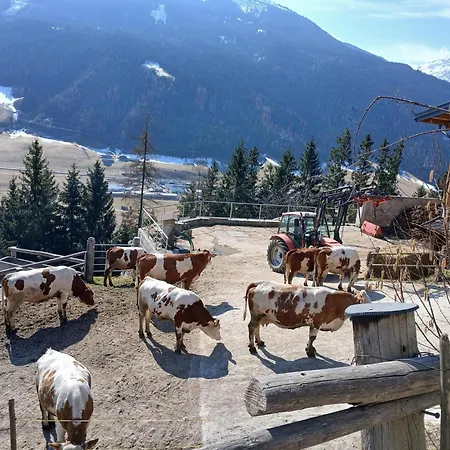 In Near Kitzbuehel Area ミッタージル
