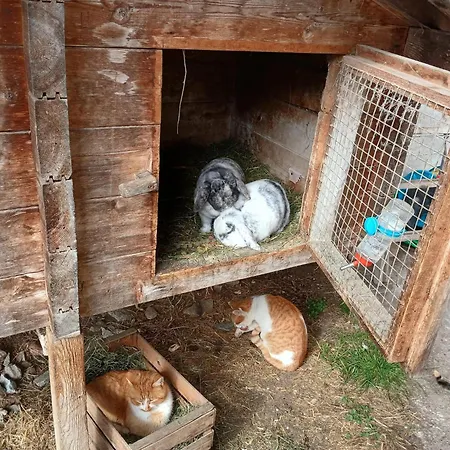 Apartment In Mittersill Near Kitzbuehel Ski Area