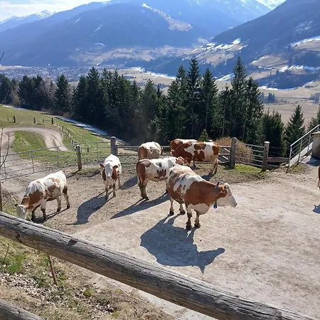 In Near Kitzbuehel Area アパート