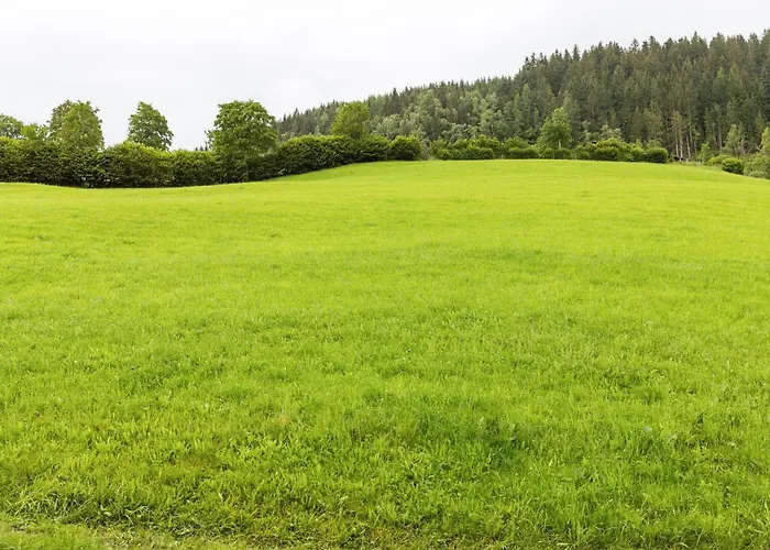 アパート In Near Kitzbuehel Area ミッタージル