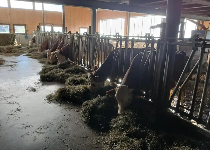 Διαμέρισμα Apartment In Mittersill Near Kitzbuehel Ski Area *